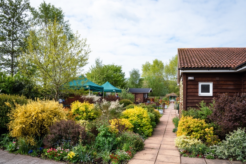 The Therapy Garden